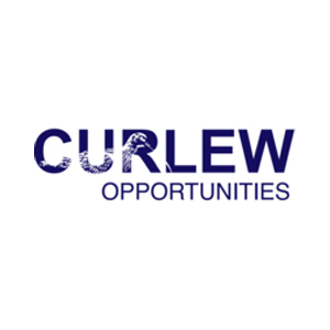 Curlew